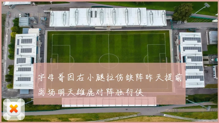 字母哥因右小腿拉伤缺阵昨天提前离场明天雄鹿对阵独行侠