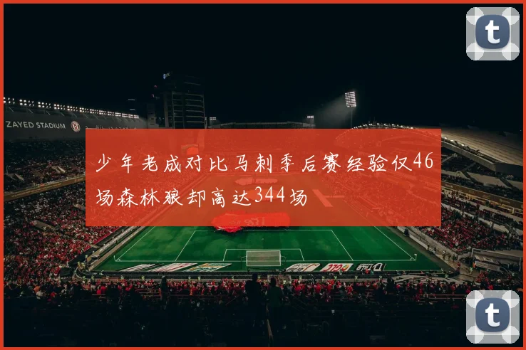 少年老成对比马刺季后赛经验仅46场森林狼却高达344场