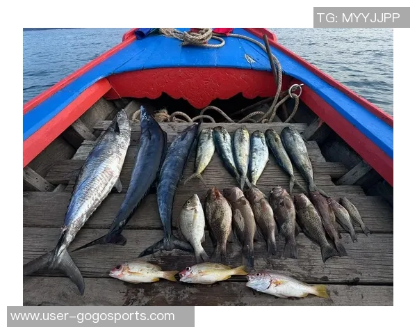 拉什福德分享海钓乐趣笑容灿烂展现多彩业余生活